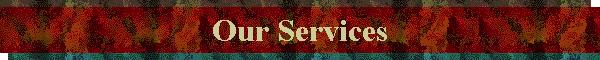 Our Services